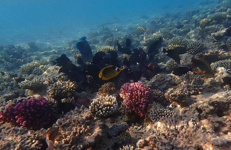 Katamaran & Segelboot Ausflüge in Hurghada